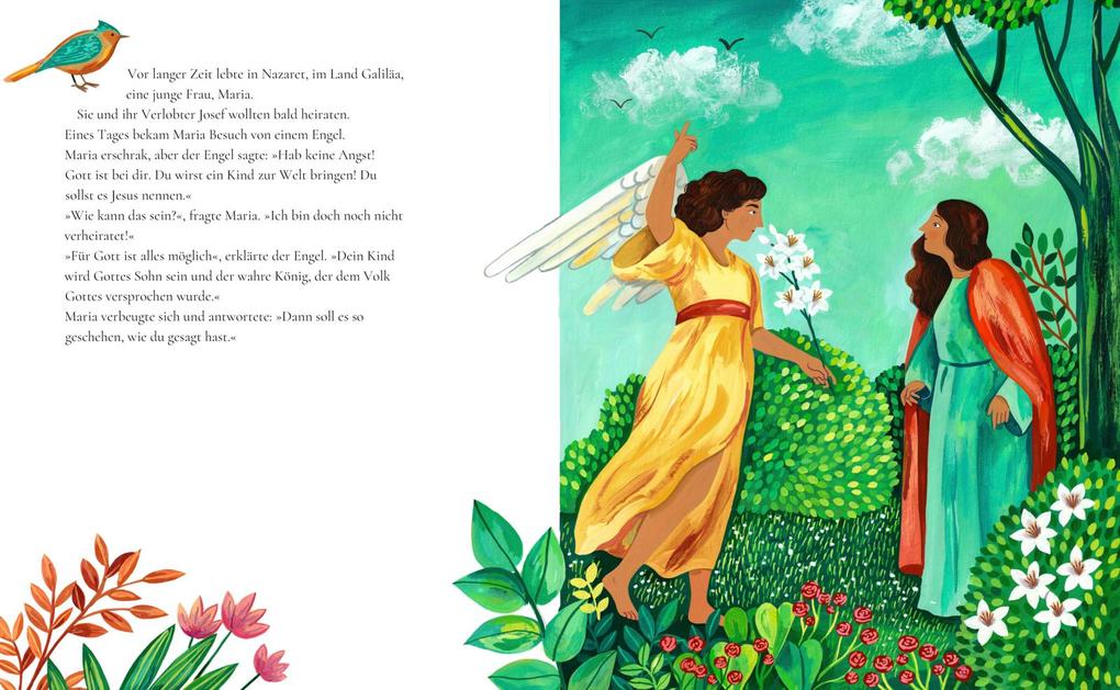 Weitere Ansicht: Die Weihnachtsgeschichte | Tom Wright