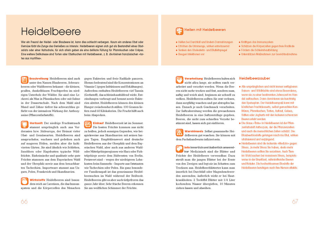 Weitere Ansicht: Obst und Gemüse als Medizin. Die besten Nahrungsmittel für Ihre Gesundheit | Klaus Oberbeil, Christiane Lentz