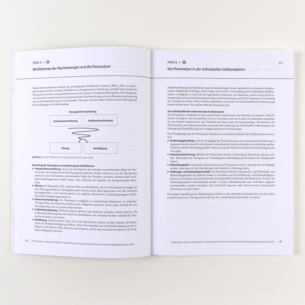 Weitere Ansicht: Therapie-Basics Plananalyse und Motivorientierte Beziehungsgestaltung | Astrid Habenstein, Christoph Stucki, Anja Carolyn Gysin-Maillart