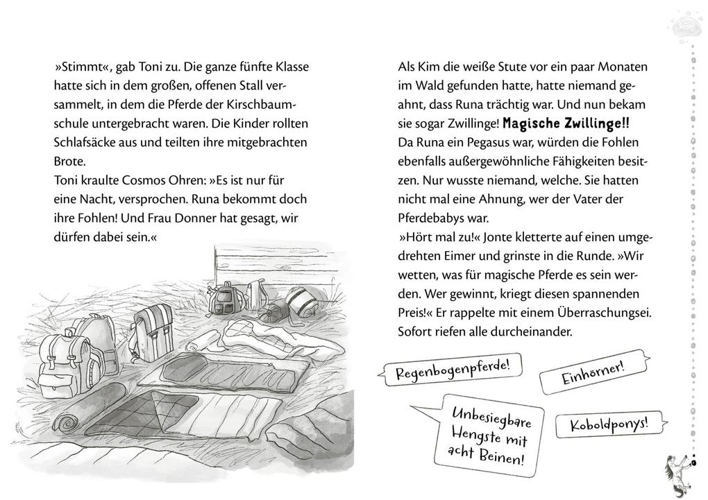Weitere Ansicht: Die Schule der Herzenspferde 3: Zorro & Elin | Judith Weber