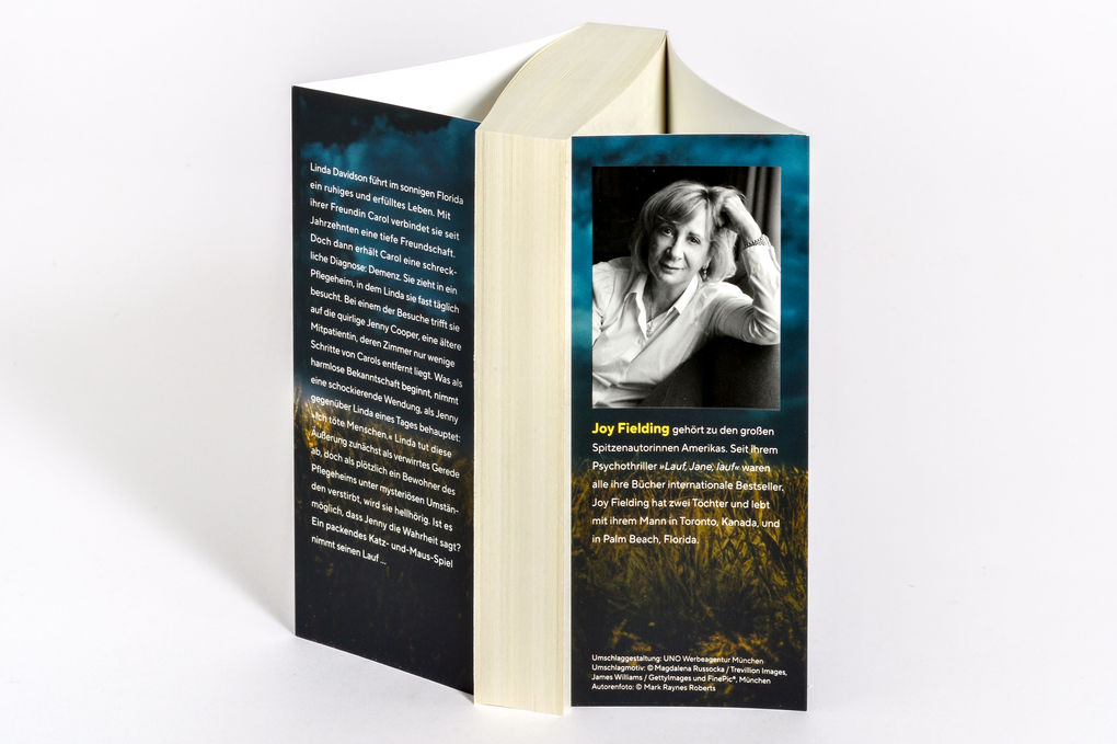 Weitere Ansicht: Die Besucherin | Joy Fielding