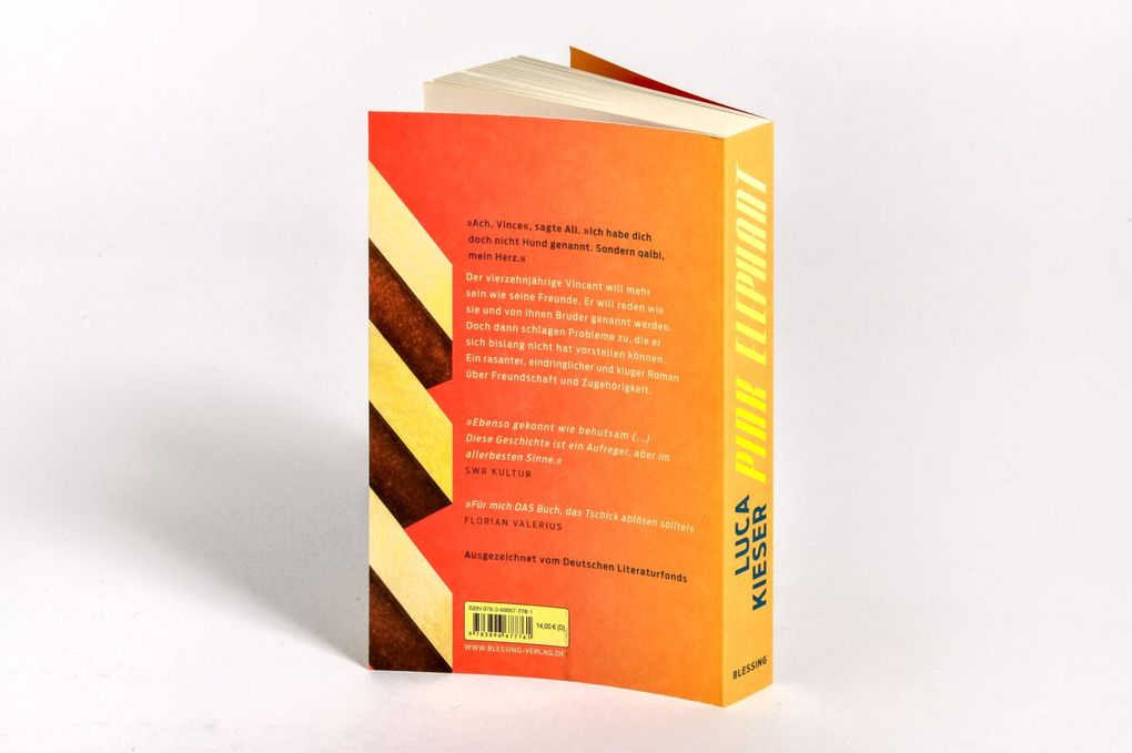 Weitere Ansicht: Pink Elephant | Luca Kieser