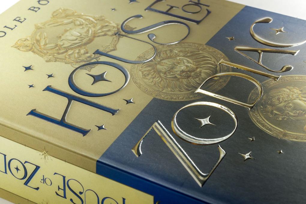 Weitere Ansicht: House of Zodiac - Kometenschauer | Nicole Böhm