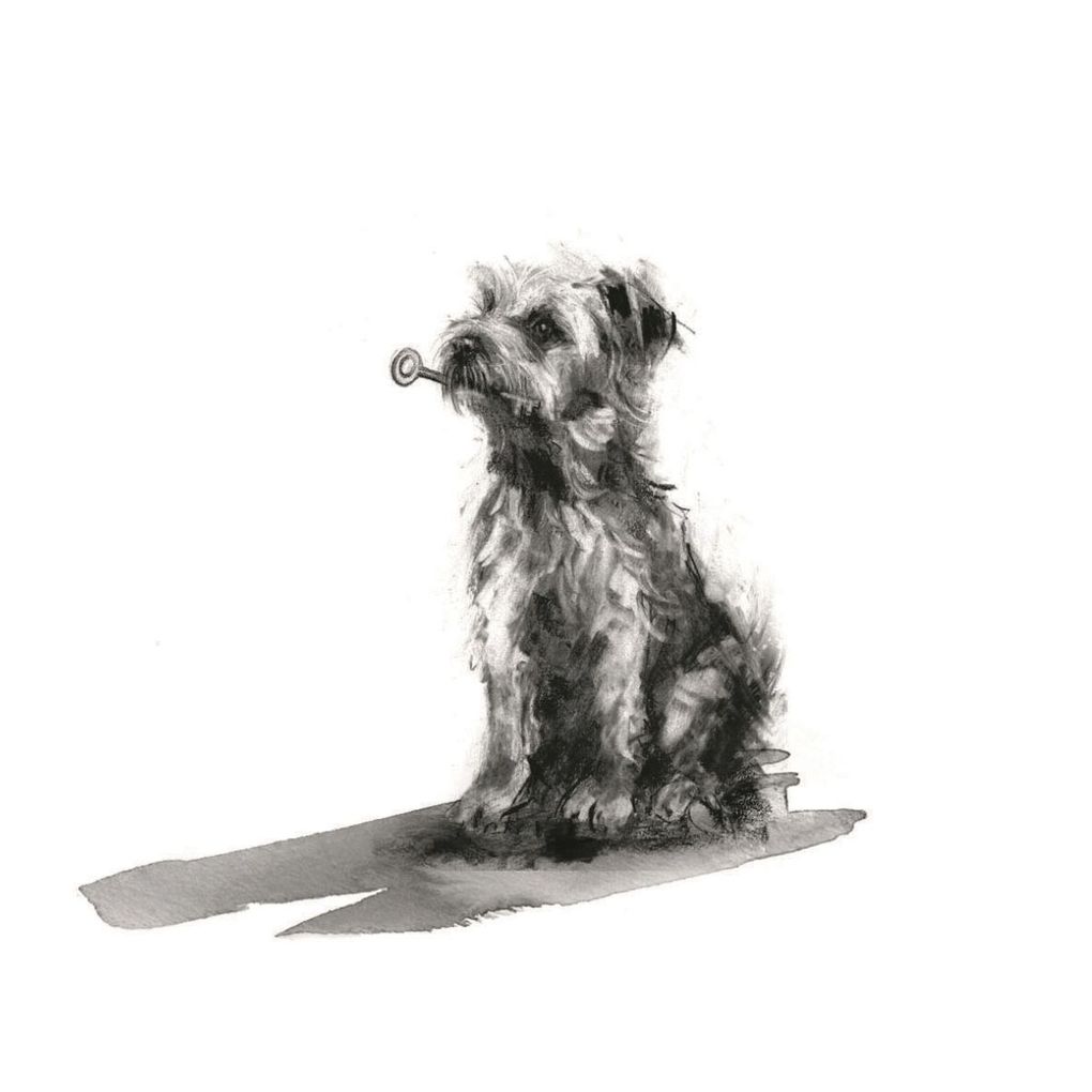 Weitere Ansicht: Keira & Ich | Noel Fitzpatrick