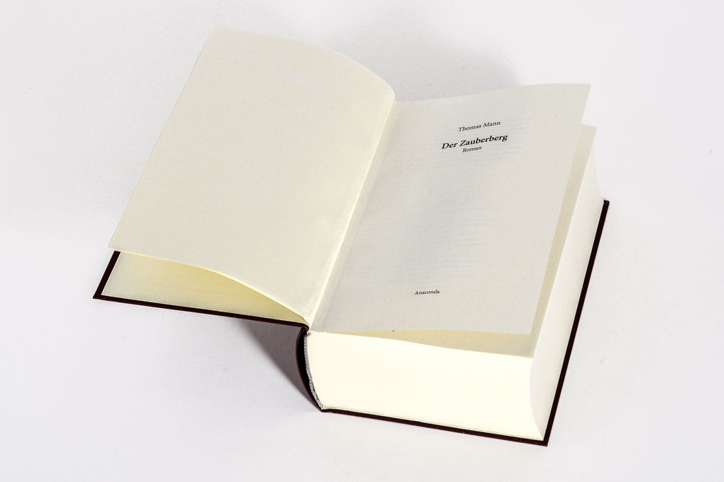 Weitere Ansicht: Der Zauberberg. Roman | Thomas Mann