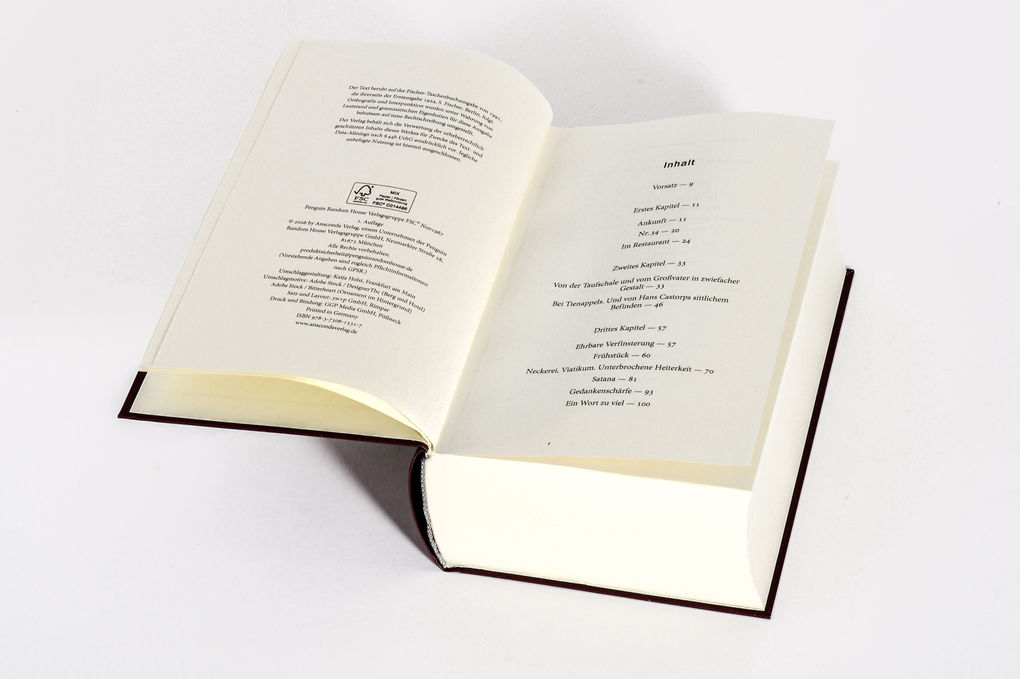 Weitere Ansicht: Der Zauberberg. Roman | Thomas Mann