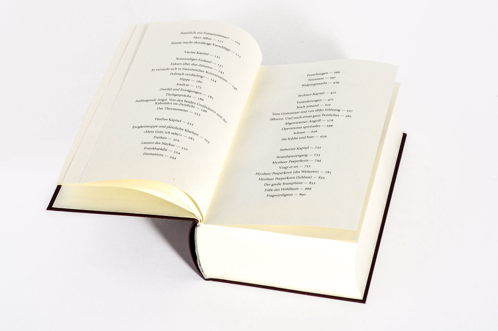 Weitere Ansicht: Der Zauberberg. Roman | Thomas Mann