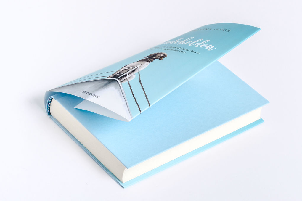 Weitere Ansicht: Hundehelden | Katharina Jakob