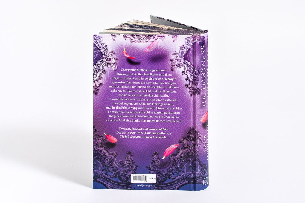 Weitere Ansicht: The Darkness Within Us | Tricia Levenseller