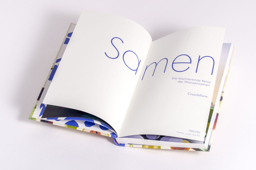 Weitere Ansicht: Samen | Cruschiform