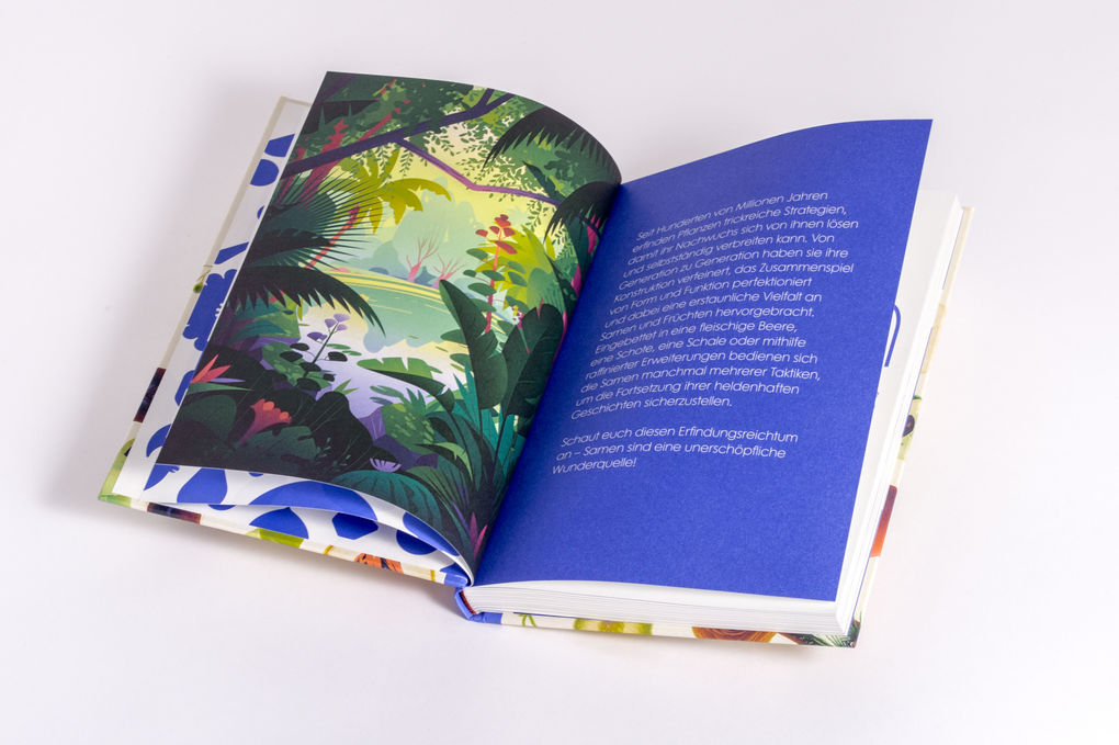 Weitere Ansicht: Samen | Cruschiform