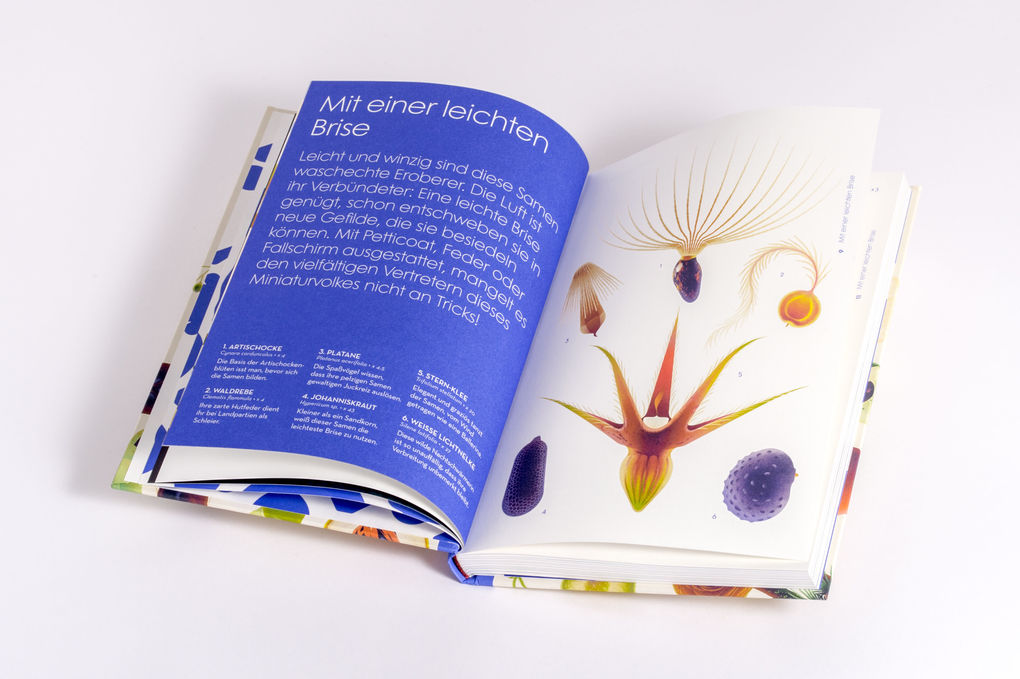 Weitere Ansicht: Samen | Cruschiform