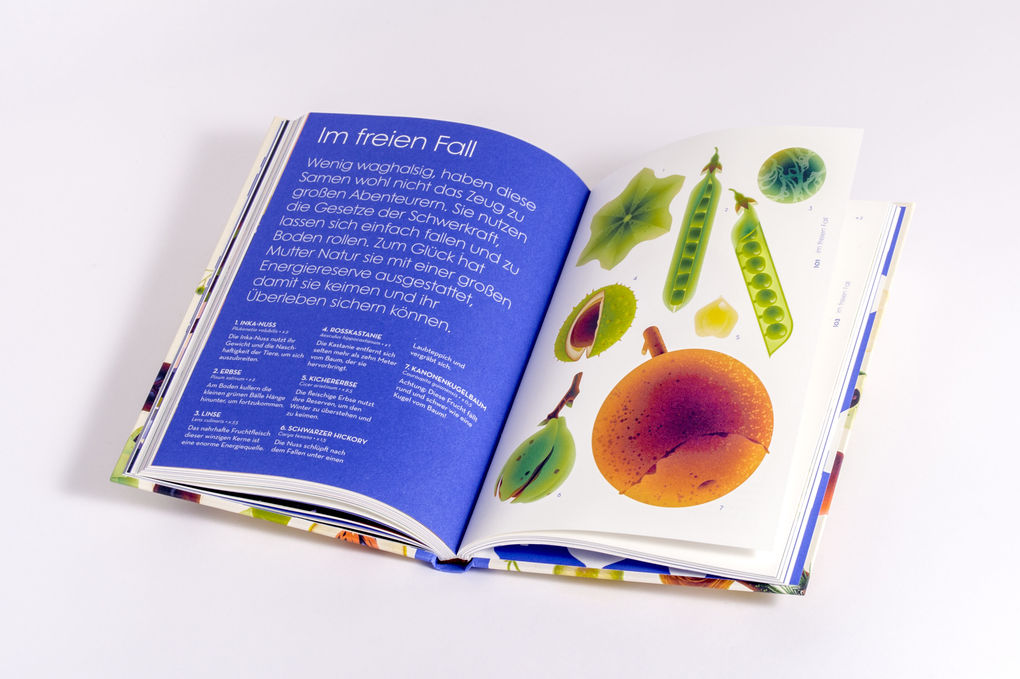 Weitere Ansicht: Samen | Cruschiform