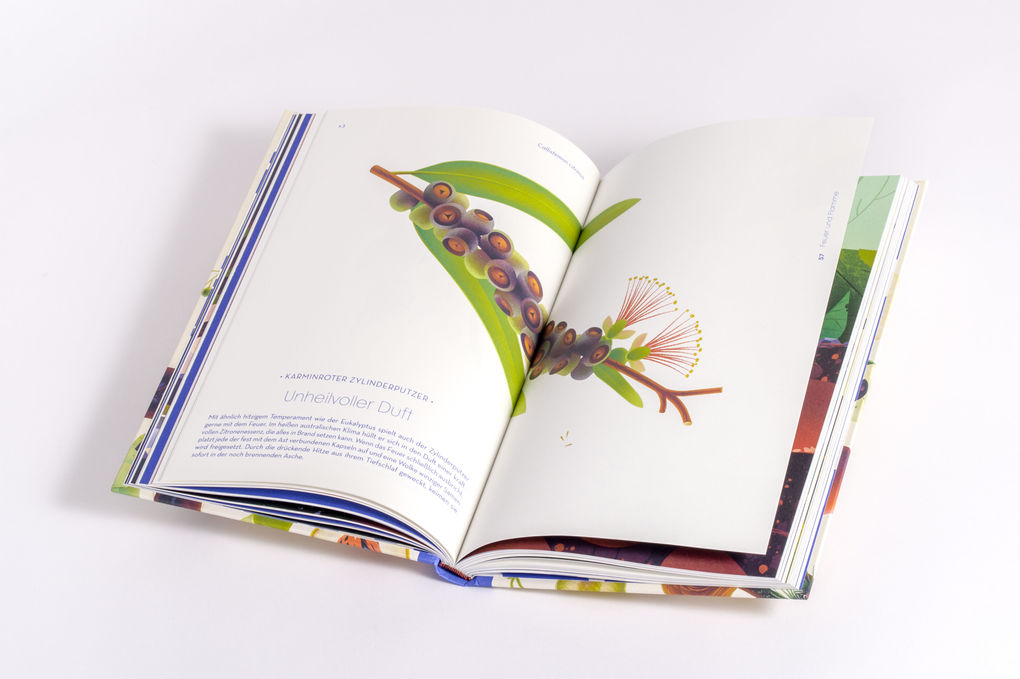 Weitere Ansicht: Samen | Cruschiform