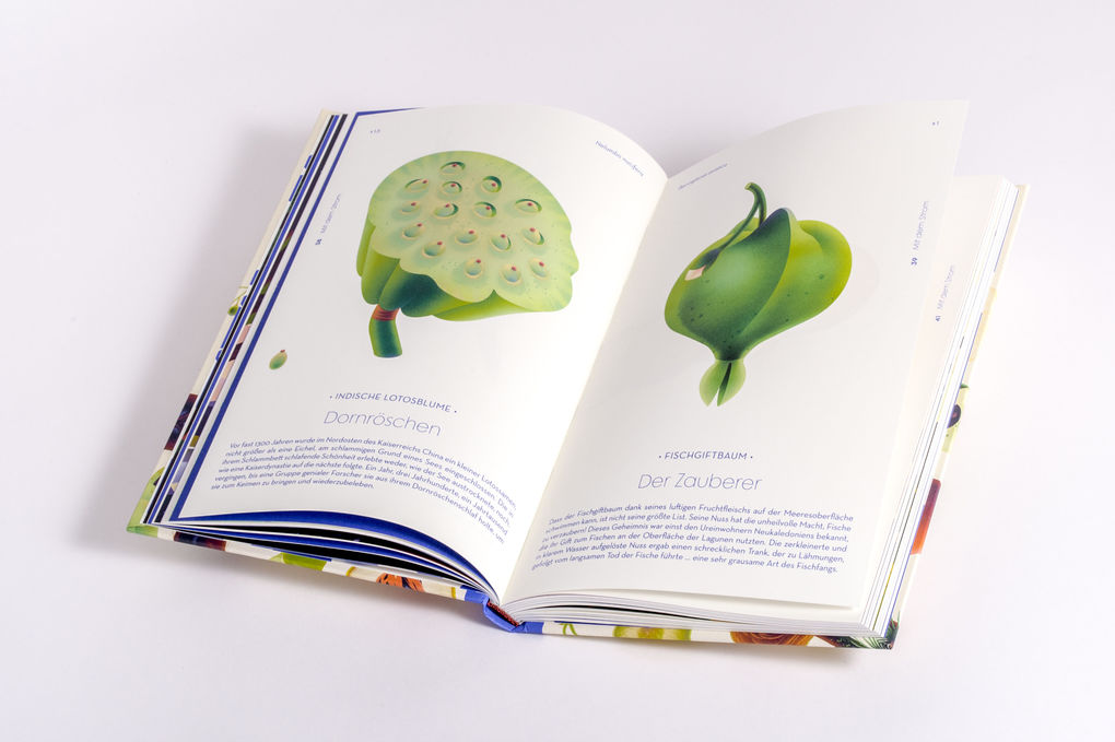 Weitere Ansicht: Samen | Cruschiform