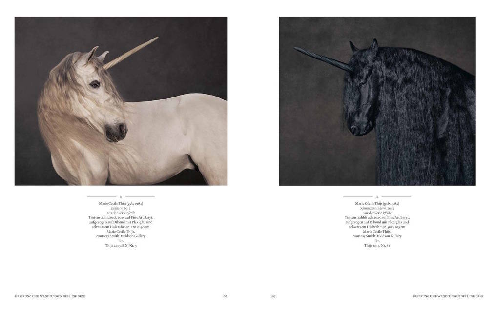 Weitere Ansicht: Einhorn