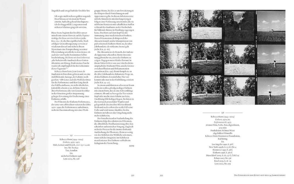 Weitere Ansicht: Einhorn