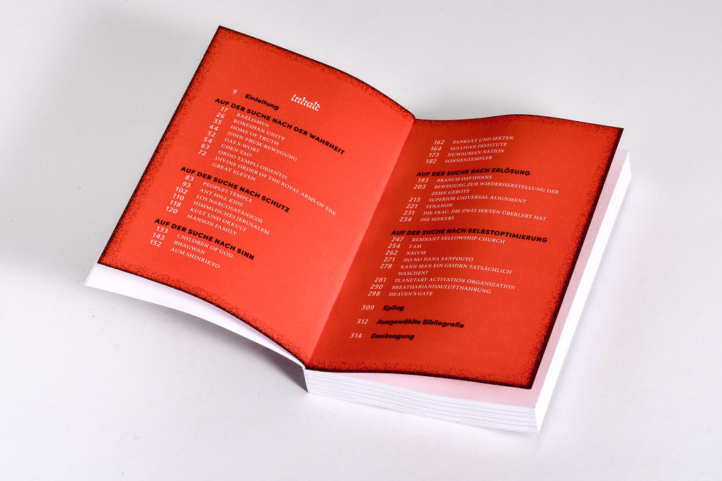 Weitere Ansicht: Finstere Versprechen | J.W. Ocker