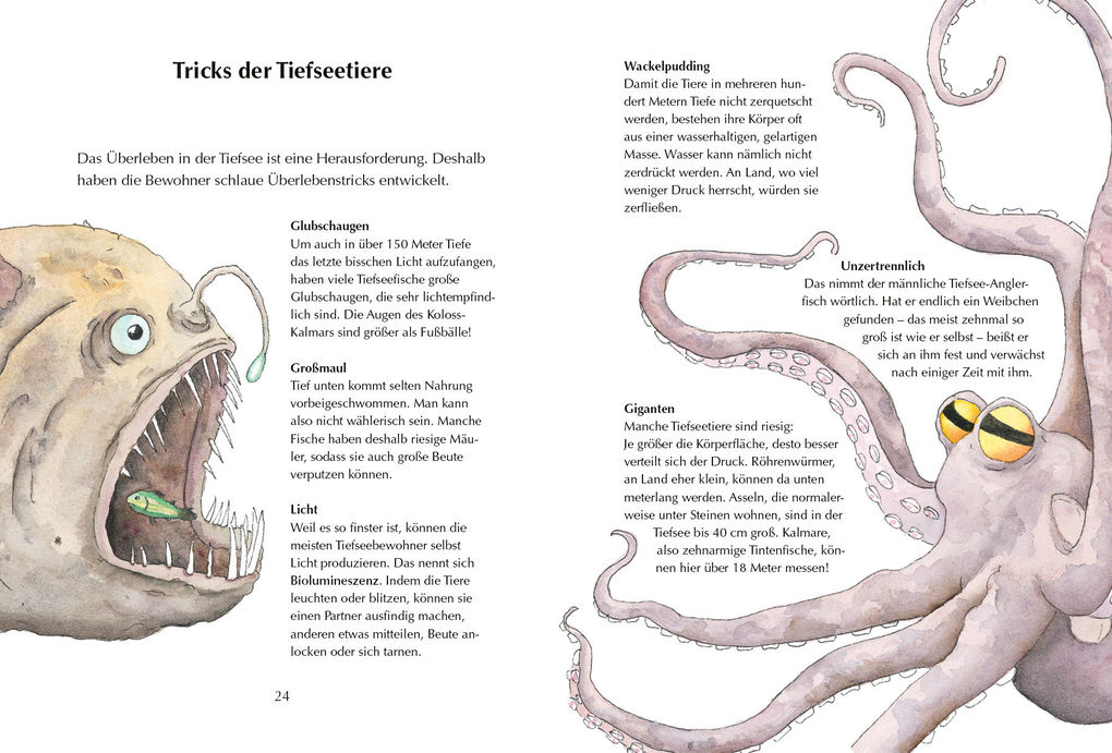 Weitere Ansicht: Alles klar! Der kleine Drache Kokosnuss erforscht die Ozeane | Ingo Siegner