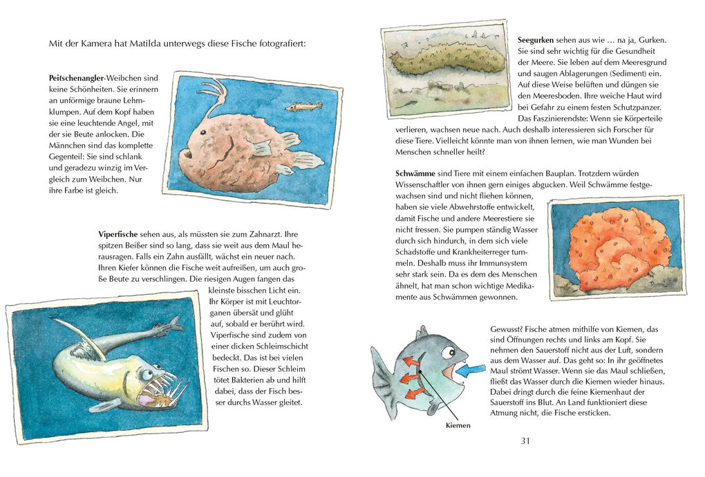 Weitere Ansicht: Alles klar! Der kleine Drache Kokosnuss erforscht die Ozeane | Ingo Siegner