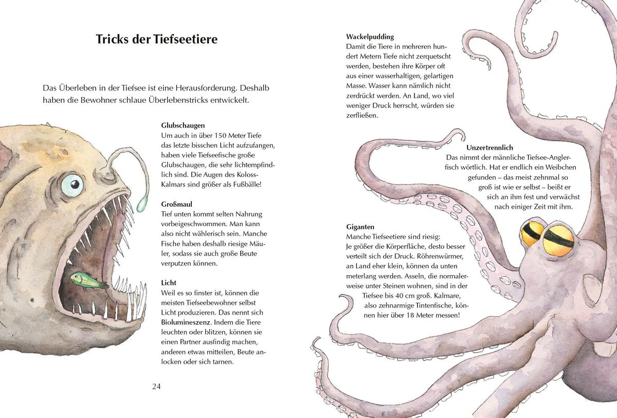 Weitere Ansicht: Alles klar! Der kleine Drache Kokosnuss erforscht die Ozeane | Ingo Siegner