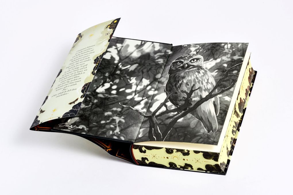 Weitere Ansicht: Witches of Deadly Sins | Ava Reed