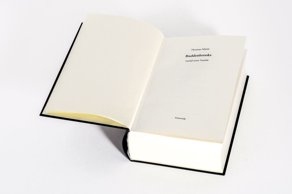 Weitere Ansicht: Buddenbrooks. Verfall einer Familie. Roman | Thomas Mann