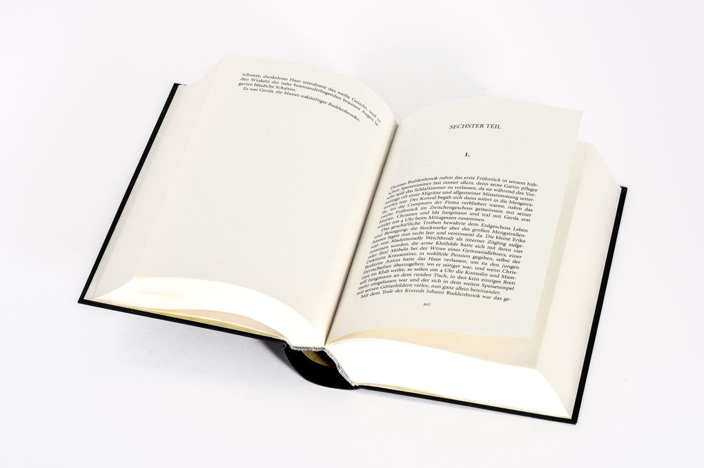 Weitere Ansicht: Buddenbrooks. Verfall einer Familie. Roman | Thomas Mann