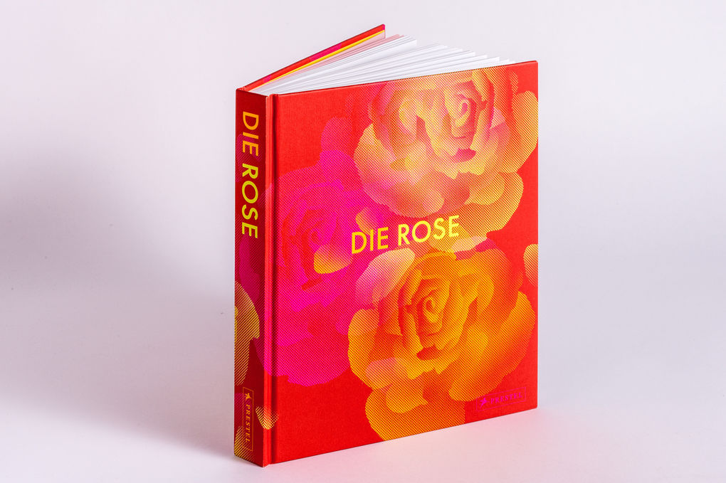 Weitere Ansicht: Die Rose | Amy de la Haye, Victoria Gaiger, Kristine Paulus