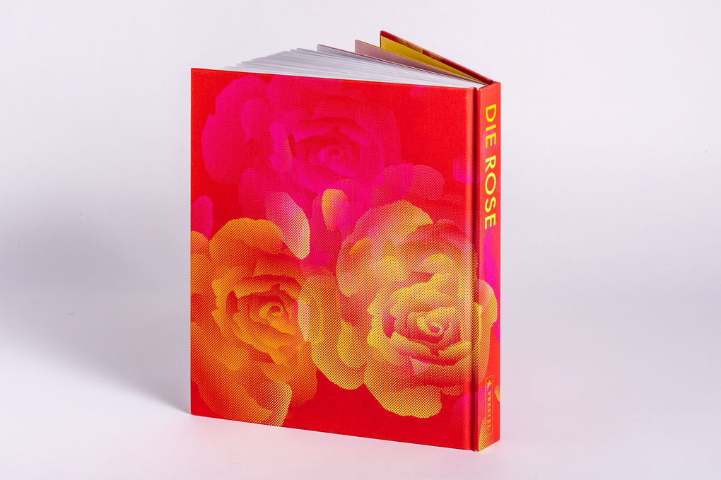 Weitere Ansicht: Die Rose | Amy de la Haye, Victoria Gaiger, Kristine Paulus