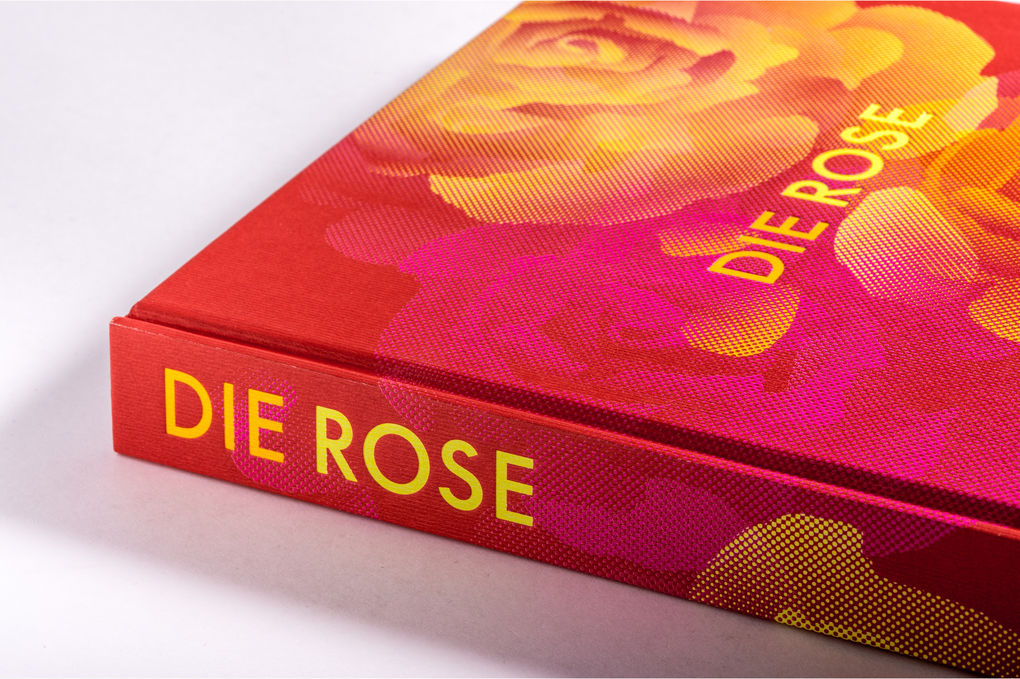 Weitere Ansicht: Die Rose | Amy de la Haye, Victoria Gaiger, Kristine Paulus