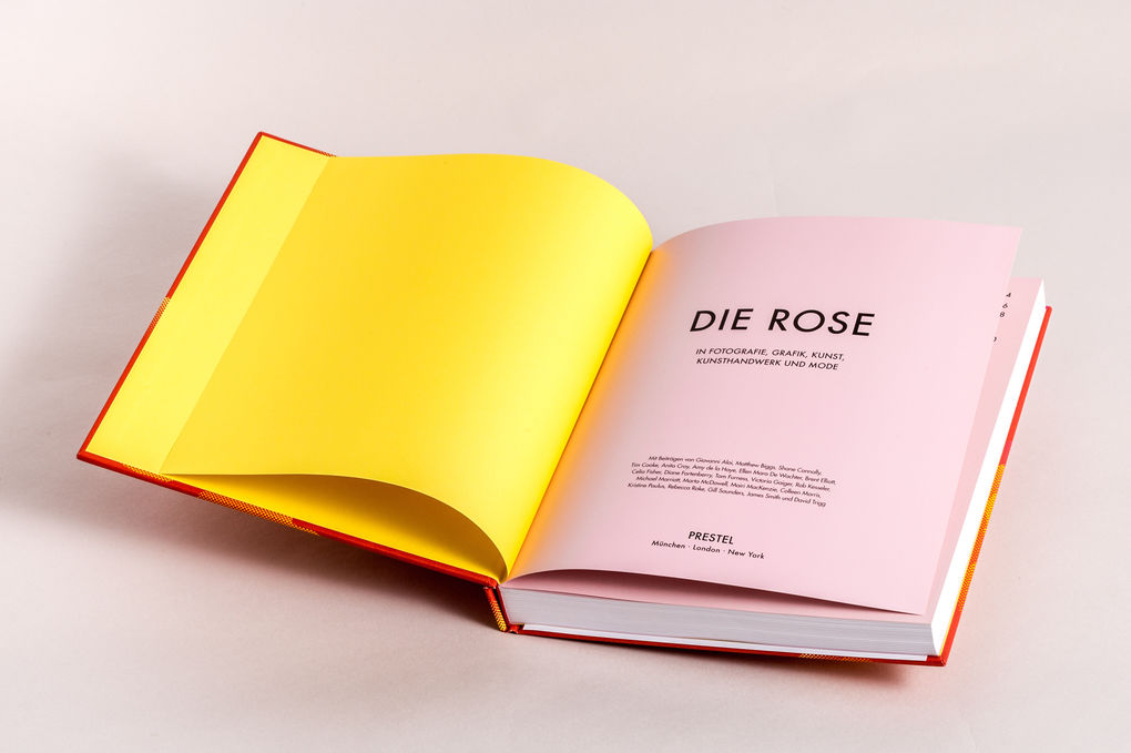Weitere Ansicht: Die Rose | Amy de la Haye, Victoria Gaiger, Kristine Paulus