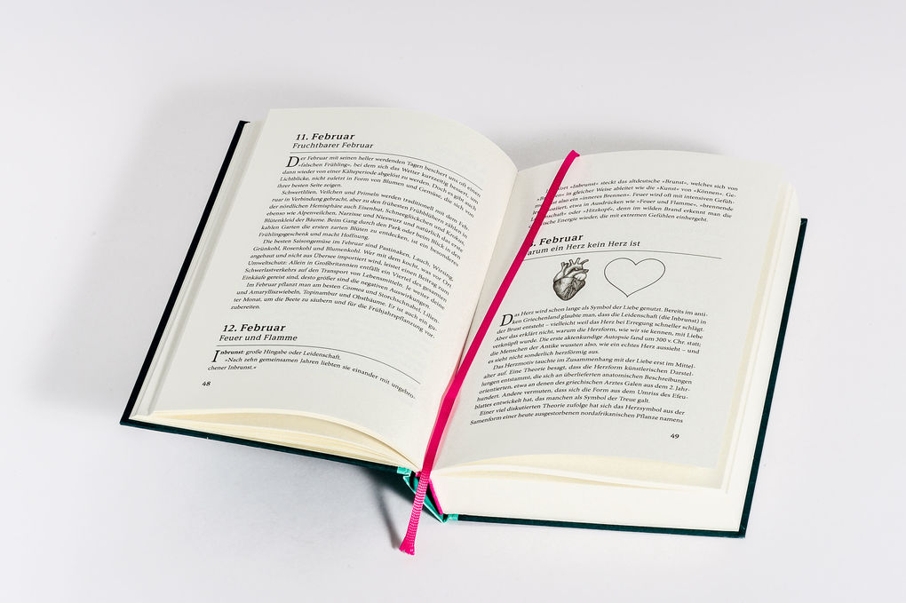 Weitere Ansicht: Ein Jahr des Staunens | Elizabeth Foley, Beth Coates