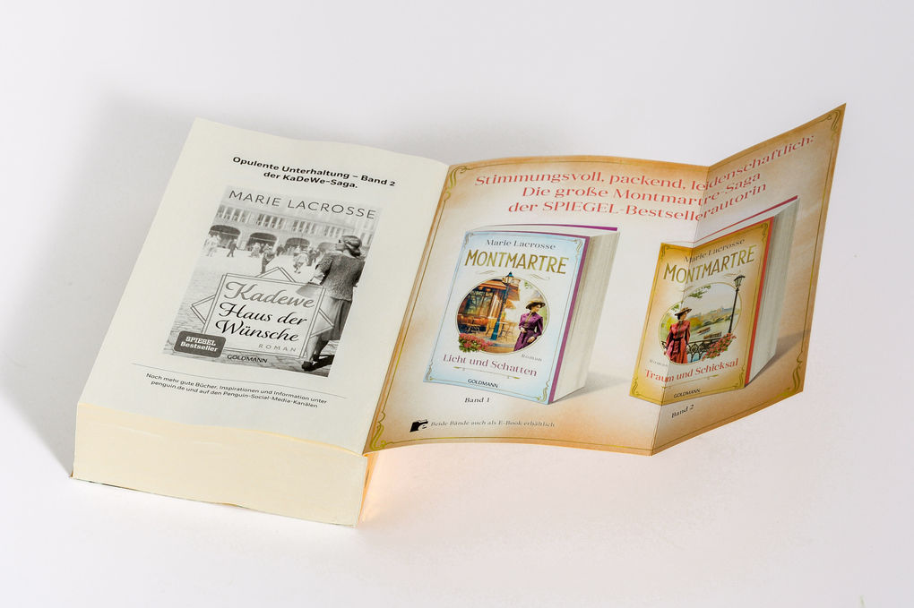 Weitere Ansicht: Montmartre - Traum und Schicksal | Marie Lacrosse