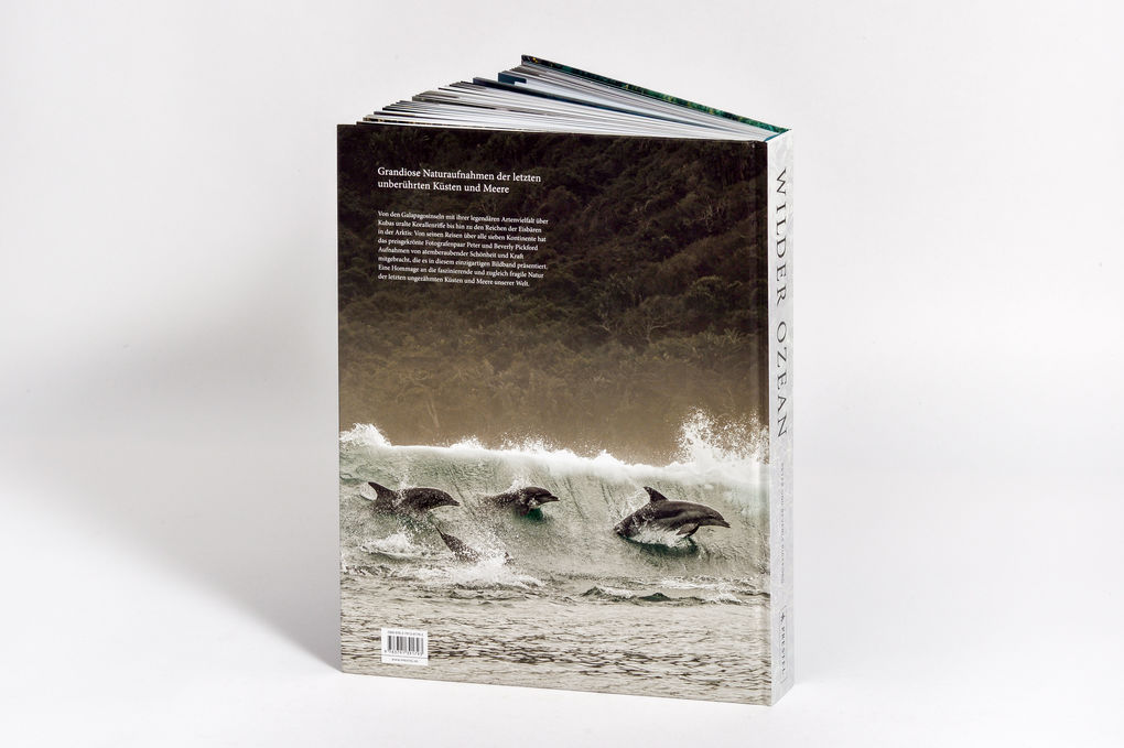 Weitere Ansicht: Wilder Ozean | Peter & Beverly Pickford