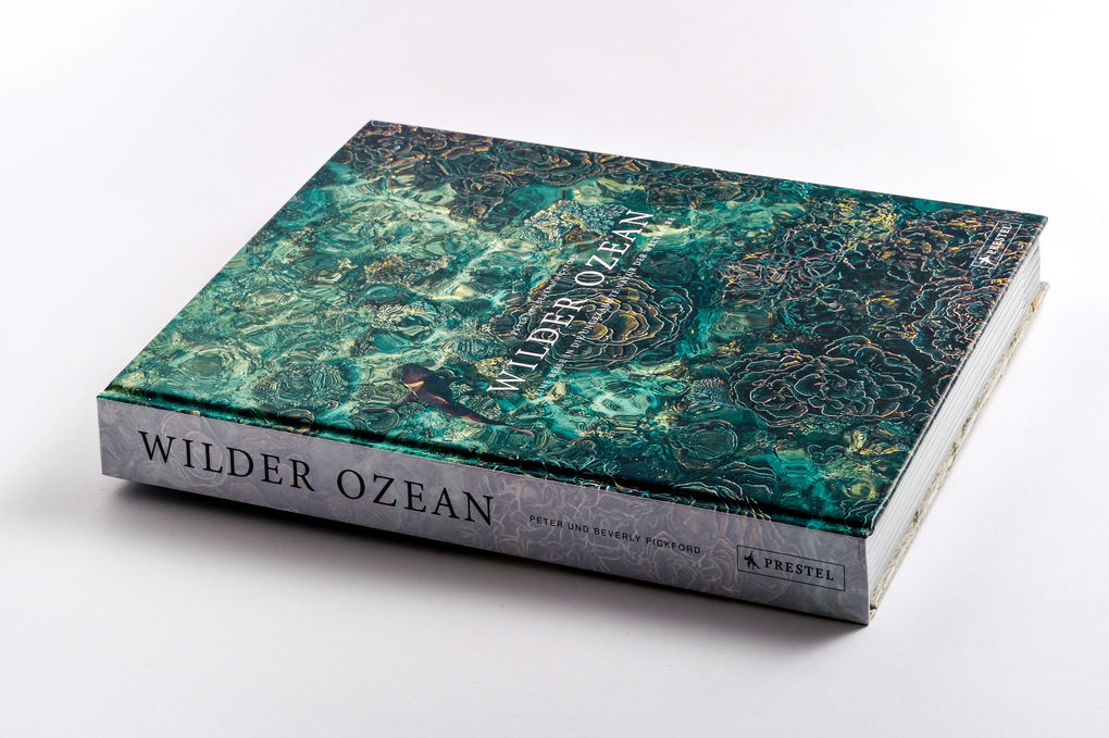 Weitere Ansicht: Wilder Ozean | Peter & Beverly Pickford