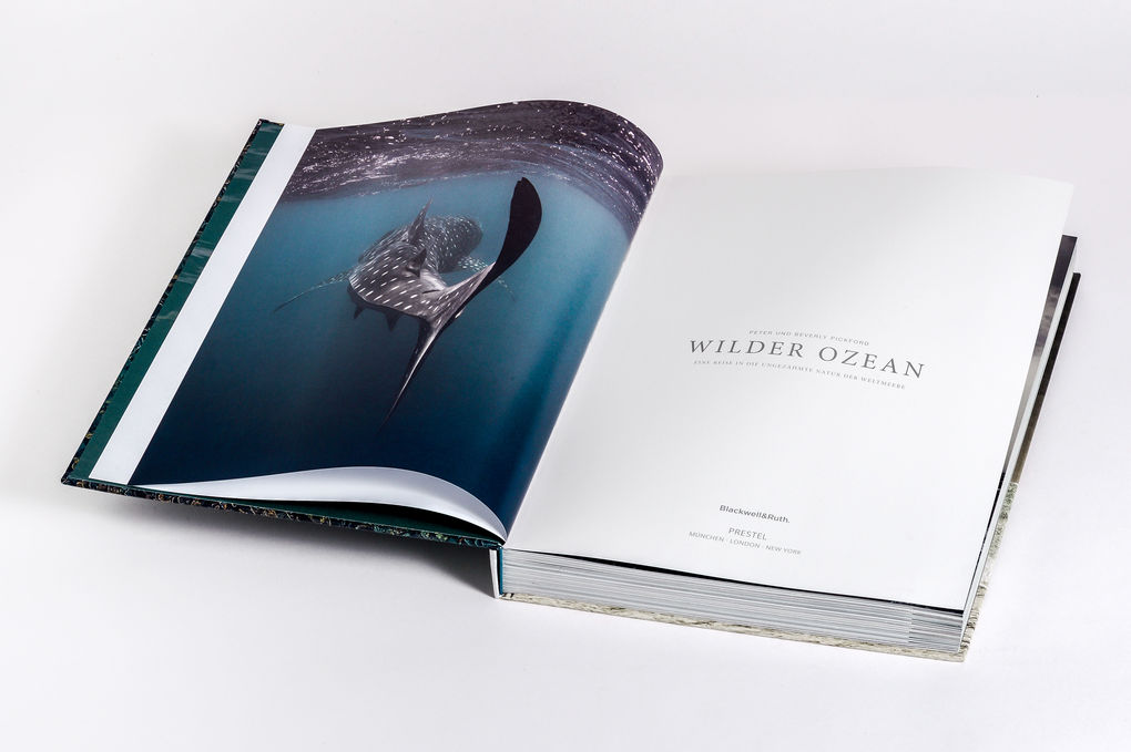 Weitere Ansicht: Wilder Ozean | Peter & Beverly Pickford