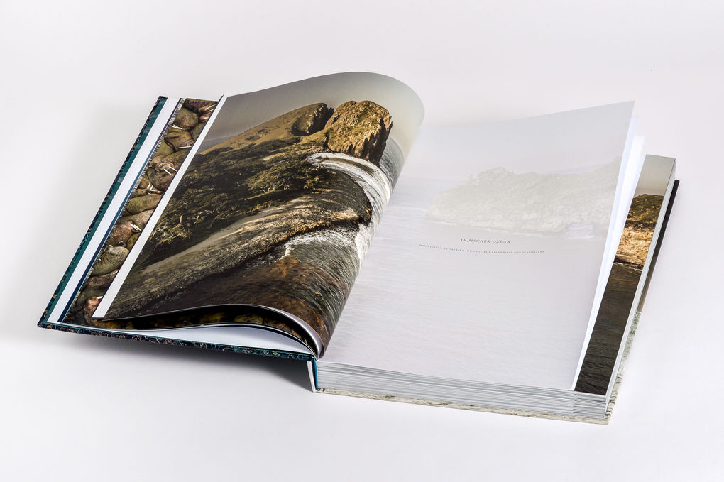 Weitere Ansicht: Wilder Ozean | Peter & Beverly Pickford