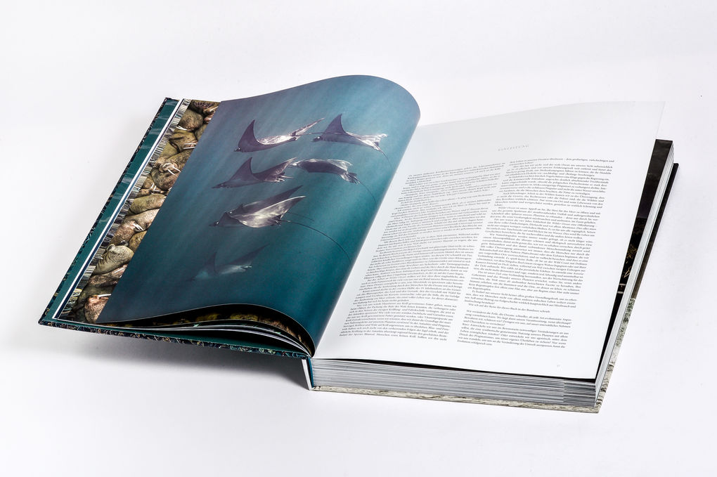 Weitere Ansicht: Wilder Ozean | Peter & Beverly Pickford