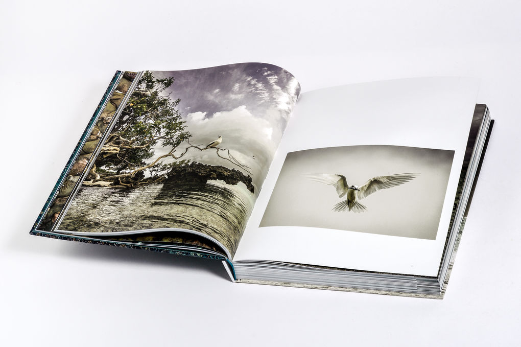 Weitere Ansicht: Wilder Ozean | Peter & Beverly Pickford