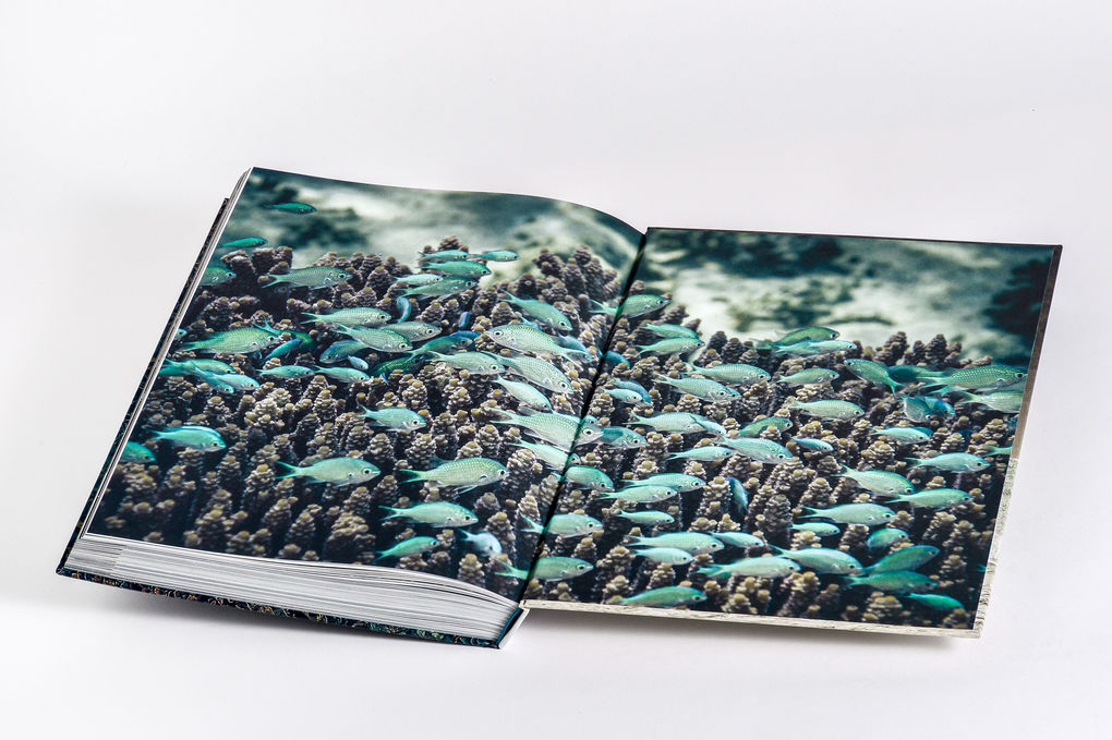 Weitere Ansicht: Wilder Ozean | Peter & Beverly Pickford