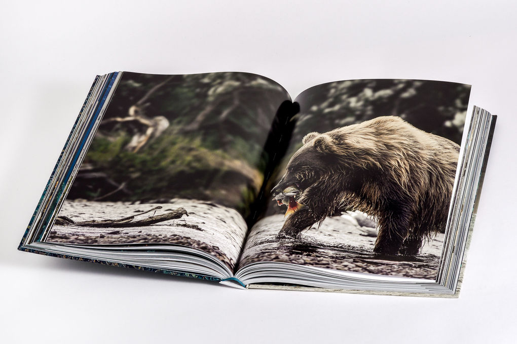 Weitere Ansicht: Wilder Ozean | Peter & Beverly Pickford