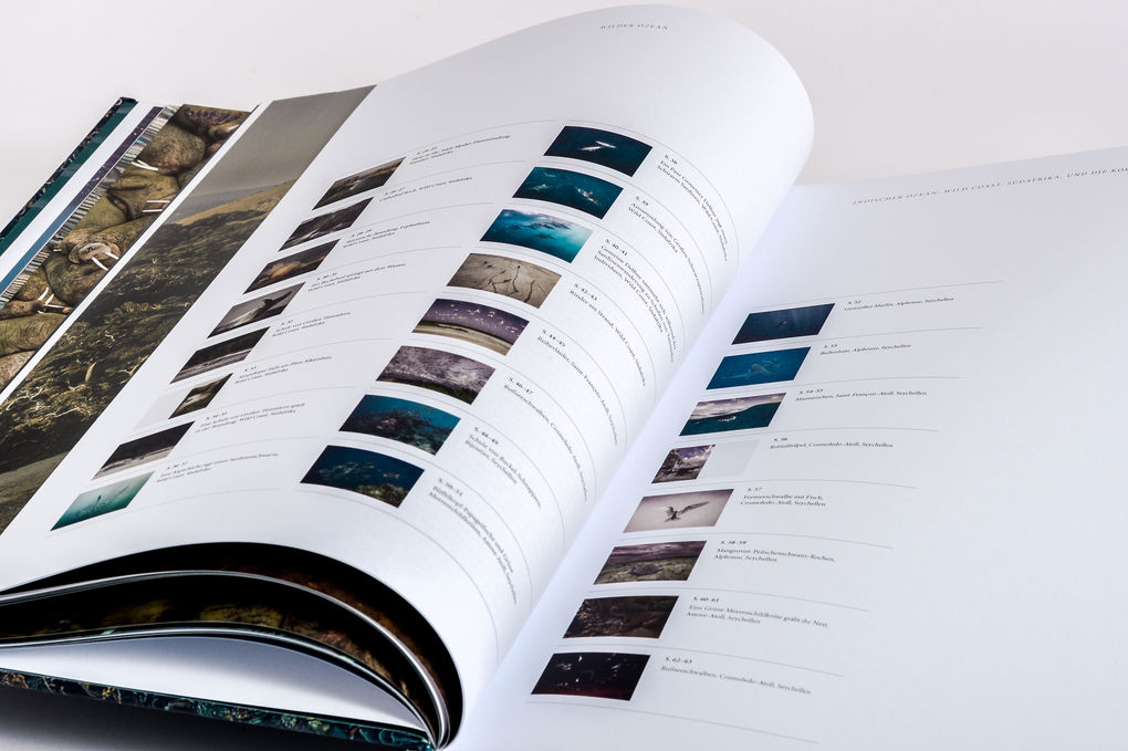 Weitere Ansicht: Wilder Ozean | Peter & Beverly Pickford