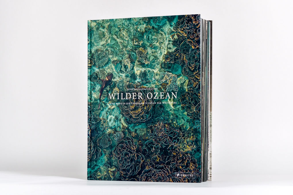Weitere Ansicht: Wilder Ozean | Peter & Beverly Pickford
