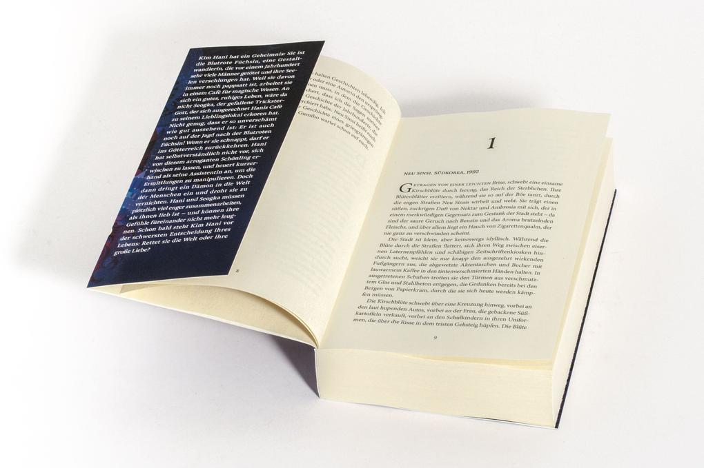 Weitere Ansicht: Der Gott und die Füchsin | Sophie Kim