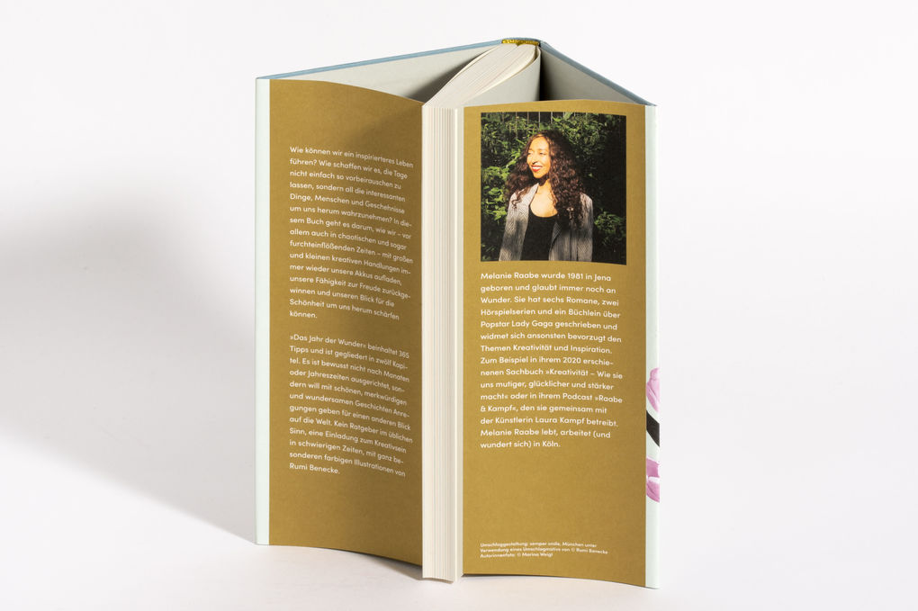 Weitere Ansicht: Das Jahr der Wunder | Melanie Raabe