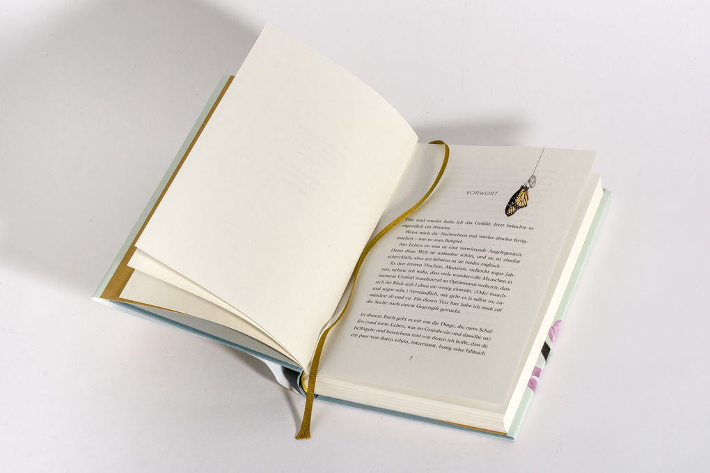 Weitere Ansicht: Das Jahr der Wunder | Melanie Raabe