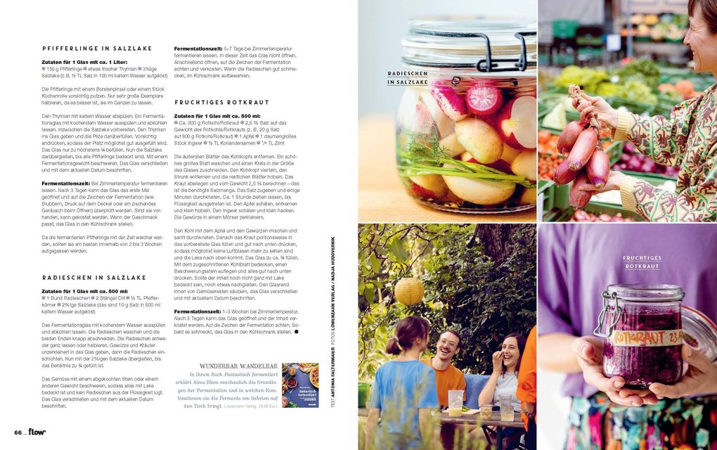 Weitere Ansicht: Flow Nummer 92 (6/2025)