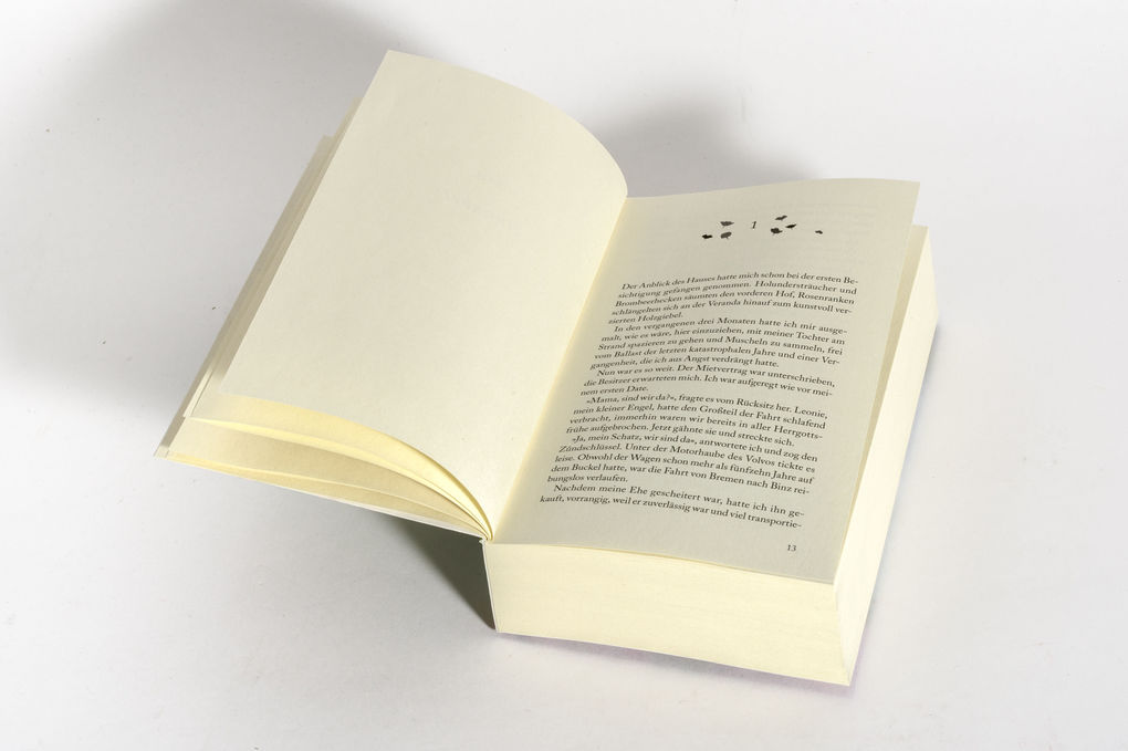 Weitere Ansicht: Die Sturmrose | Corina Bomann