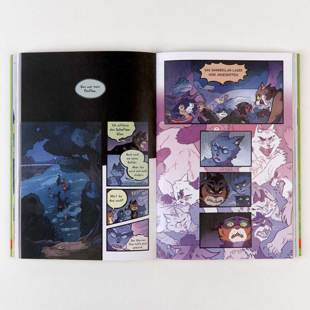 Weitere Ansicht: Warrior Cats - Die Prophezeiungen beginnen | Erin Hunter